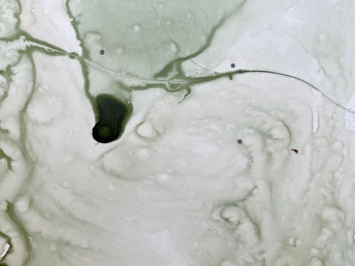 Cameron Marinne | fiction | You Are Loved