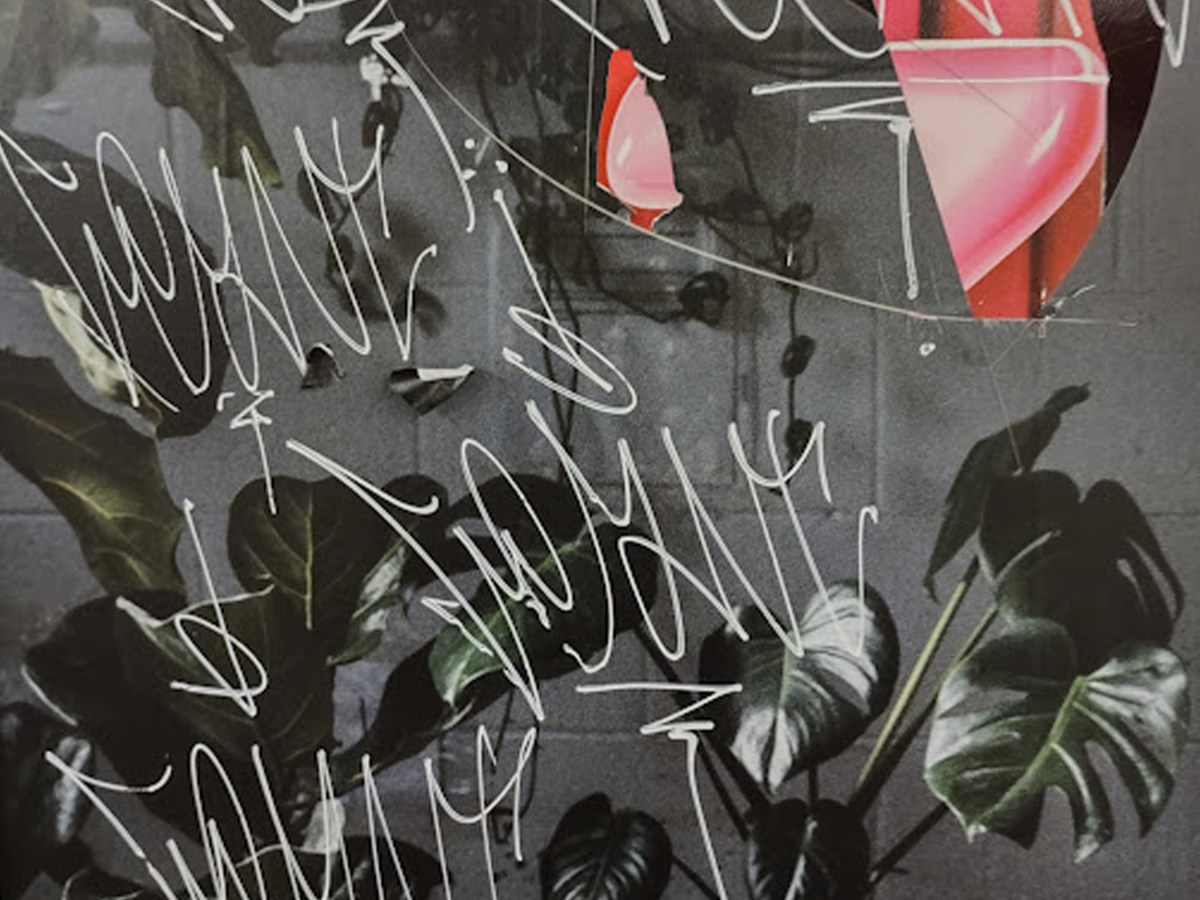 Jaden Fong | poetry | What We Talk About Under a Wool Blanket