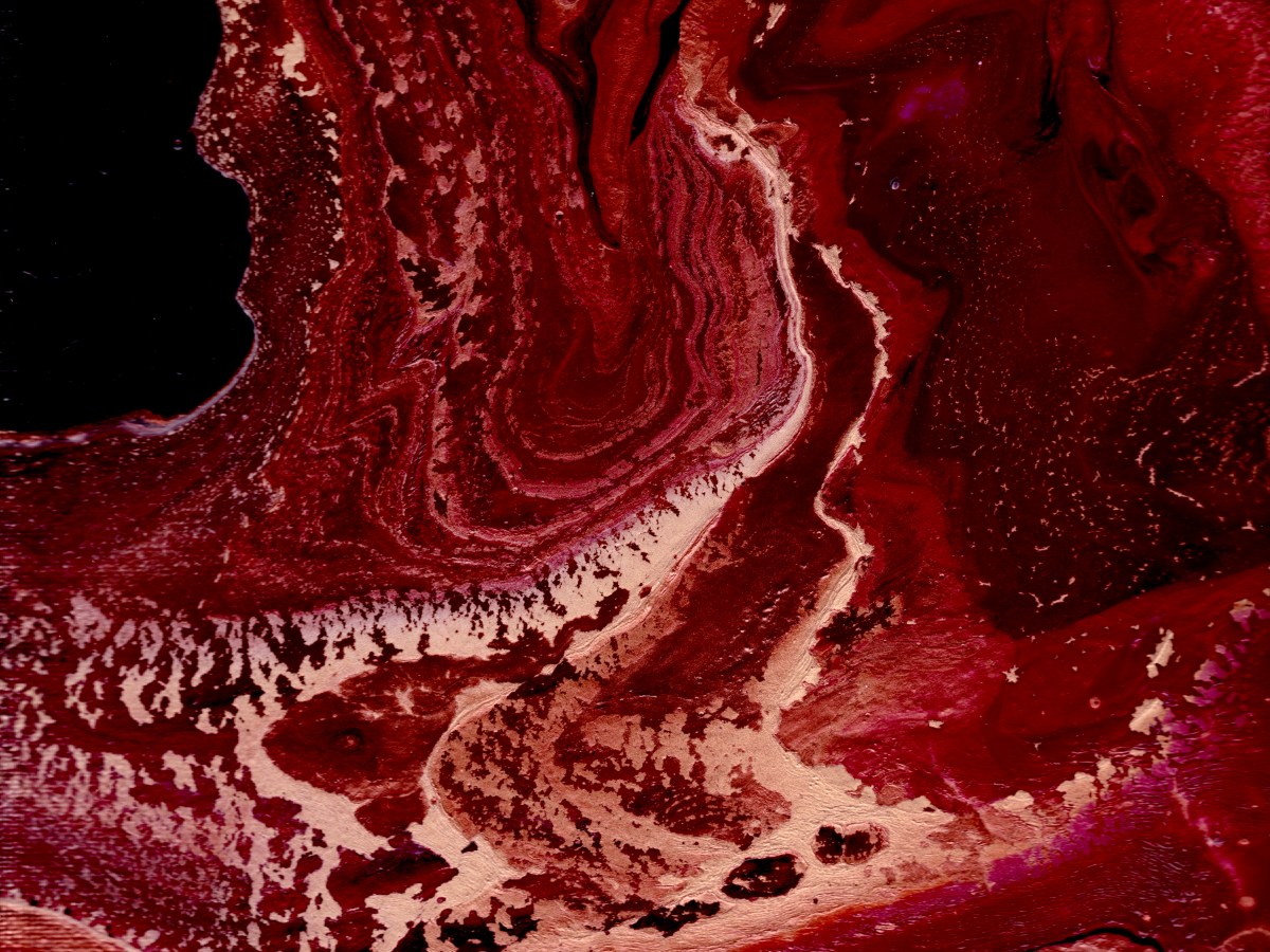 Maria Brekke | A Mother’s Orbit